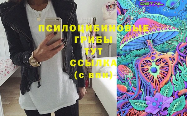 mix Белокуриха