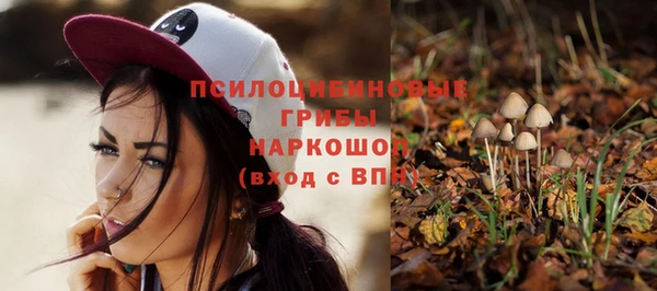 apvp Карпинск