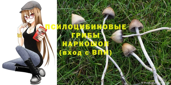 mix Белокуриха